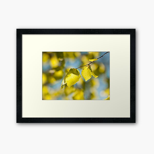 New beach Framed Art Print