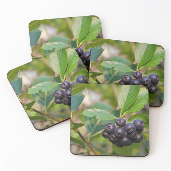 Item preview, Small chokeberry berries on a branch with leaves around designed and sold by Mahirov Shop.