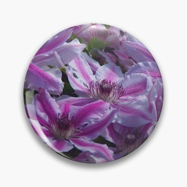 Item preview, Clematis Nelly Moser designed and sold by lezvee.