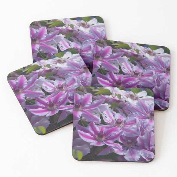 Item preview, Clematis Nelly Moser designed and sold by lezvee.