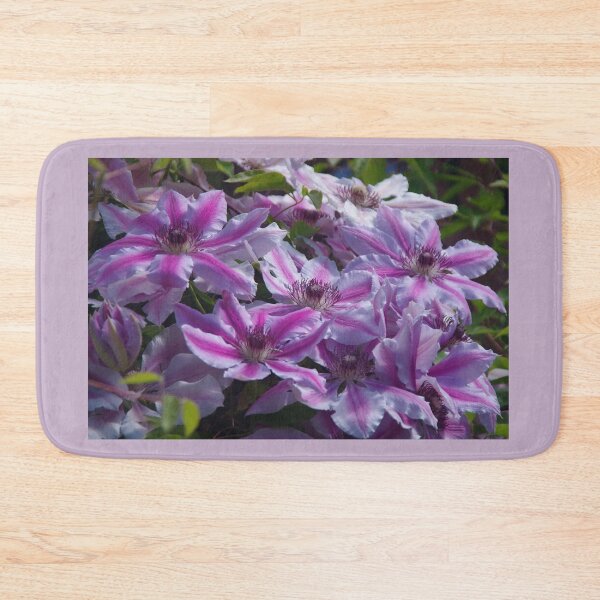 Item preview, Clematis Nelly Moser designed and sold by lezvee.