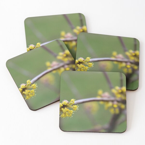 Item preview, Blooming small flowers of Cornelian cherry designed and sold by Mahirov Shop.