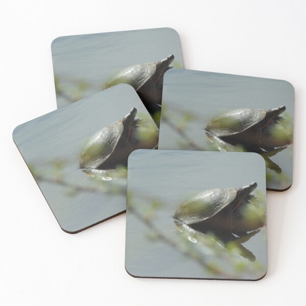 Item preview, The Turtle designed and sold by ReccaRedscale.
