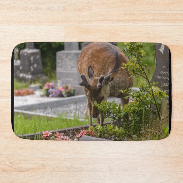 Item preview, Young deer on the Irish Graveyard of Muckross Abbey, an Old Irish Monastery in Killarney National Park designed and sold by AlbertMi.