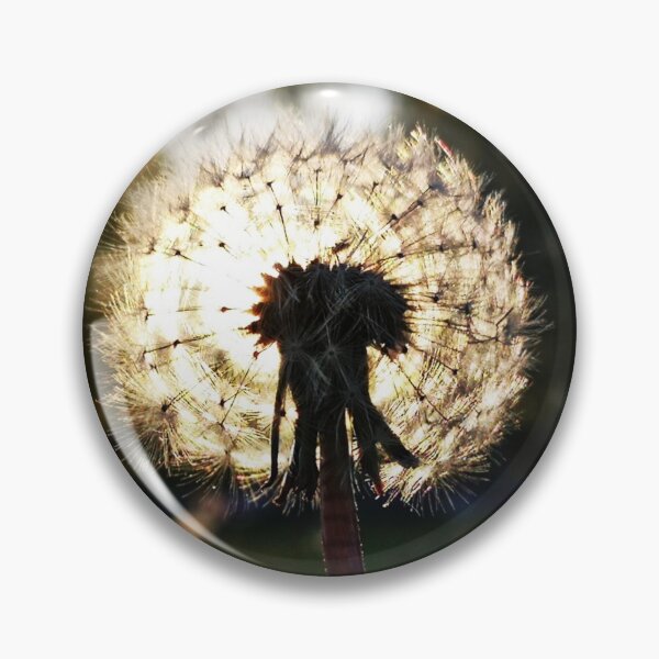 Artikelvorschau,  Sonnenuntergang durch die Blume, eine Pusteblume gesehen - Fotodesign entworfen und verkauft von kikidu21.