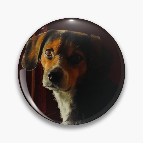 Item preview, Starbuck designed and sold by PatSeg Photos.
