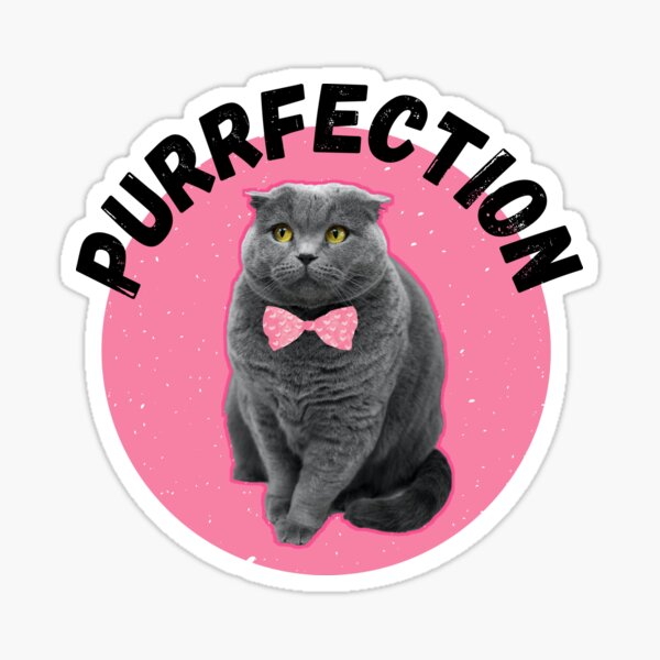 Purrfection Gray Cat on Pink Sticker