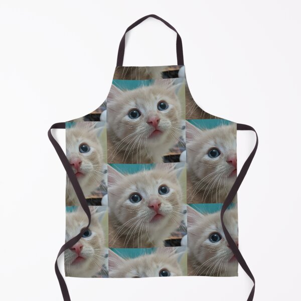 Item preview, Ragdoll Mainecoon kitten designed and sold by Fluffycat2020.
