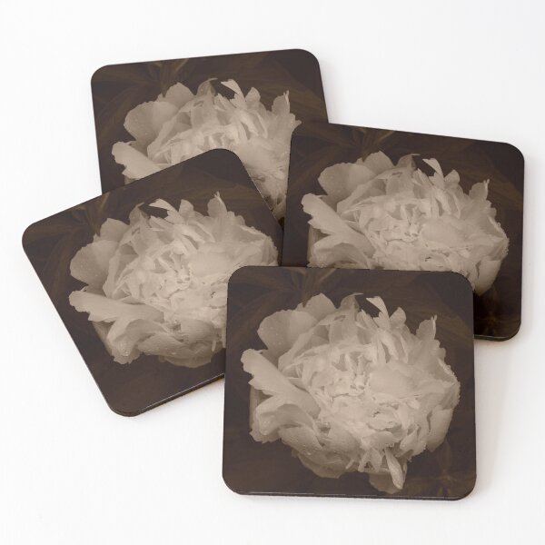 Item preview, Peony - Paeonia Suffruticosa  designed and sold by Matsumoto.