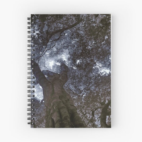 Item preview, Rainforest Canopy Enhanced designed and sold by SB Design.
