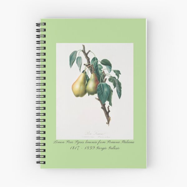 Item preview, Pera limón Pyrus limonia de Pomona Italiana Giorgio Gallesio Design designed and sold by EarthArtDesigns.