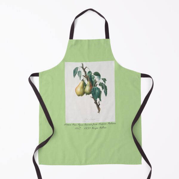 Item preview, Lemon Pear Pyrus limonia from Pomona Italiana Giorgio Gallesio Design  designed and sold by EarthArtDesigns.