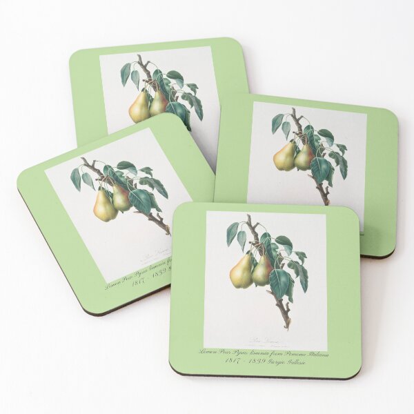 Item preview, Lemon Pear Pyrus limonia from Pomona Italiana Giorgio Gallesio Design  designed and sold by EarthArtDesigns.
