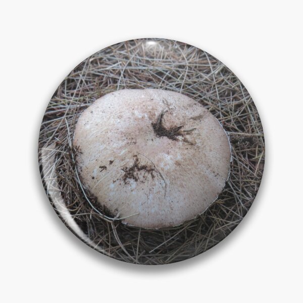 Item preview, Sheoak mushroom designed and sold by greentiger1.