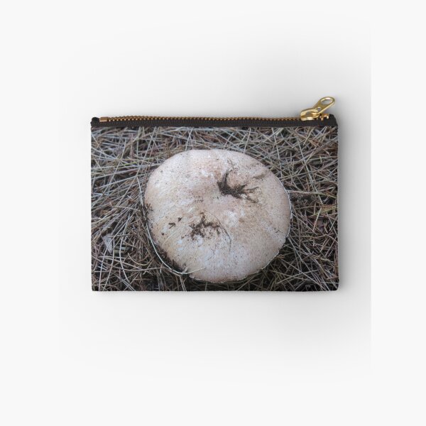 Item preview, Sheoak mushroom designed and sold by greentiger1.
