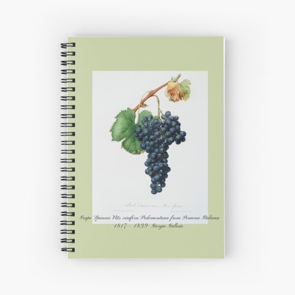 Item preview, Grape Spanna Vitis Vinifera Pedemontana from Pomona Italiana Giorgio Gallesio Design designed and sold by EarthArtDesigns.