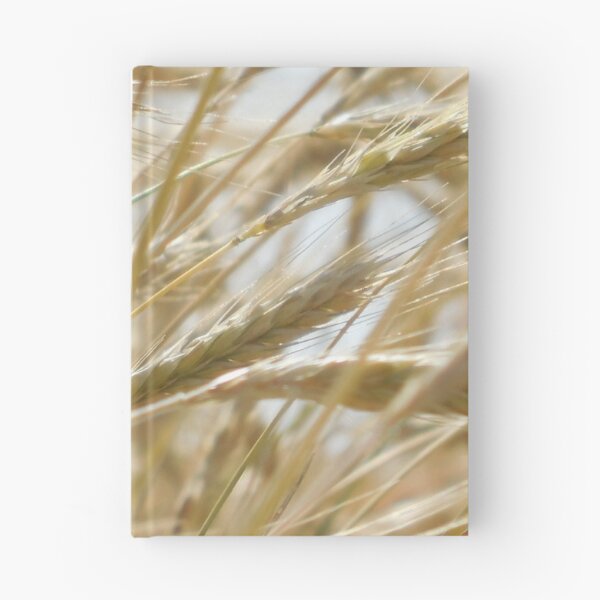 Item preview, Wheat And Blue Sky designed and sold by DJDesigns70.