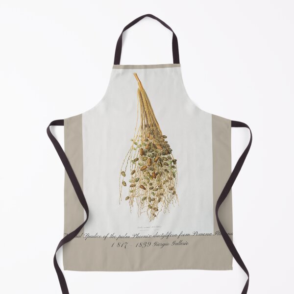 Item preview, Normal Spadice of the palm Phoenix dactylifera from Pomona Italiana Giorgio Gallesio designed and sold by EarthArtDesigns.