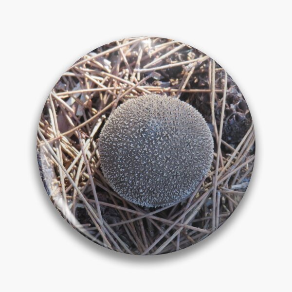 Item preview, Oddball mushroom designed and sold by greentiger1.