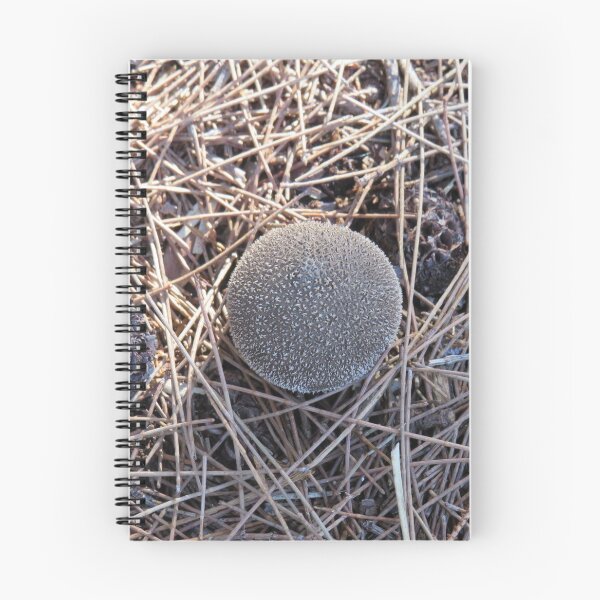 Item preview, Oddball mushroom designed and sold by greentiger1.