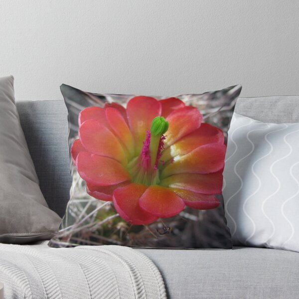 Item preview, Cactus flower designed and sold by Janet Gosselin.