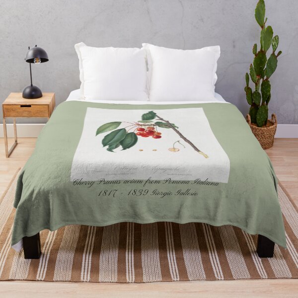 Item preview, Cherry Prunus avium from Pomona Italiana Giorgio Gallesio Design designed and sold by EarthArtDesigns.