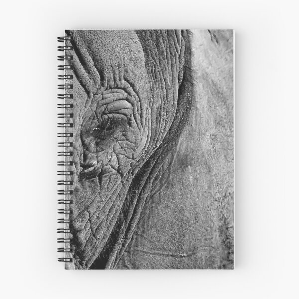 Item preview, Close up of an elephant's head designed and sold by Dimo Petrov.