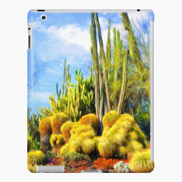 iPad Retina/3/2 - Snap