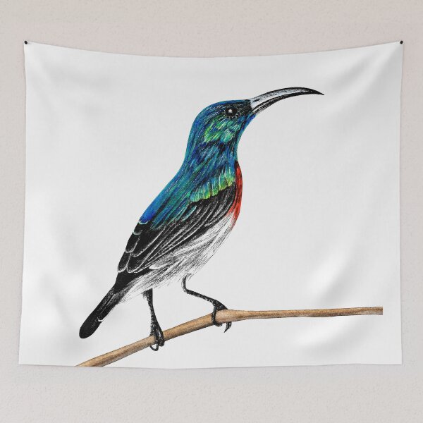 Item preview, Sunbird illustration designed and sold by LorenDowding.