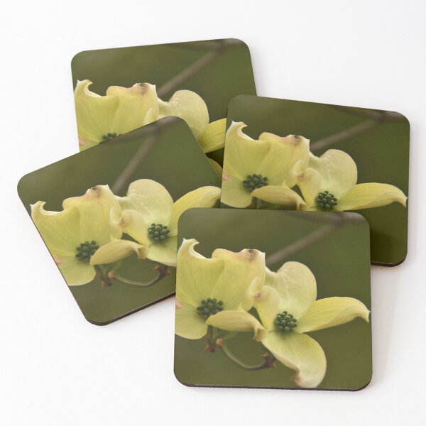 Item preview, Yellow Dogwood... designed and sold by Poete100.