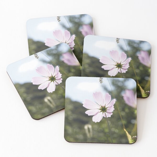 Item preview, Korea pink cosmos flowers designed and sold by sjkimphoto.