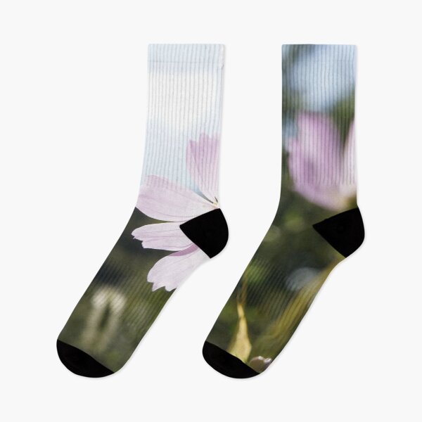 Item preview, Korea pink cosmos flowers designed and sold by sjkimphoto.