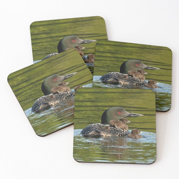 Item preview, Loon mom and her babies designed and sold by locustgirl.