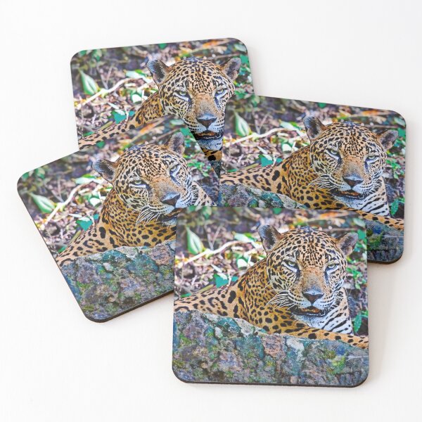 Item preview, Jaguar in Guatemala Jungle designed and sold by Travelways.