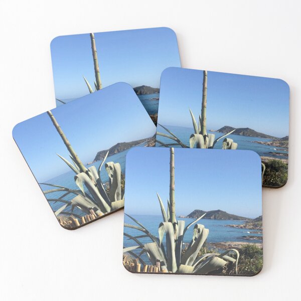 Item preview, Agave - L'Escalet, France - nature, cactus, landscape, photo #ilonabarnabiphotonews, biphoto, designed and sold by BIPHOTONEWS.