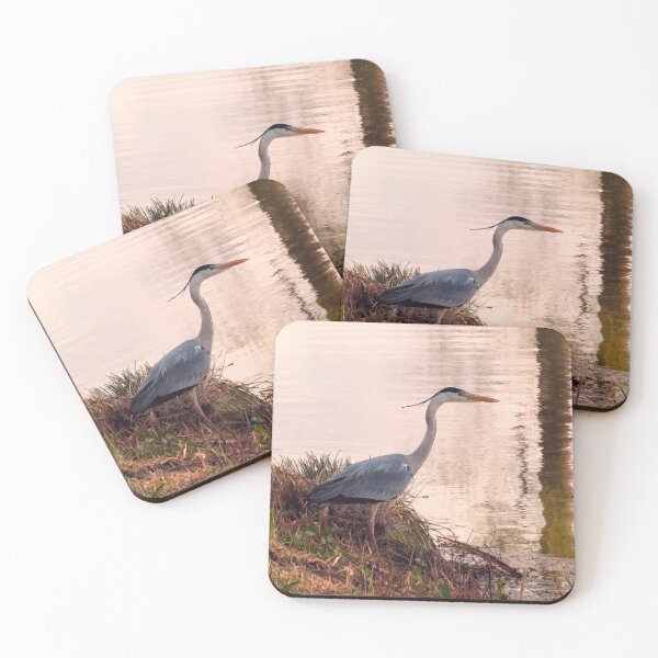 Item preview, Beautiful Heron looking in the Somme canal designed and sold by Ann Biddlecombe.