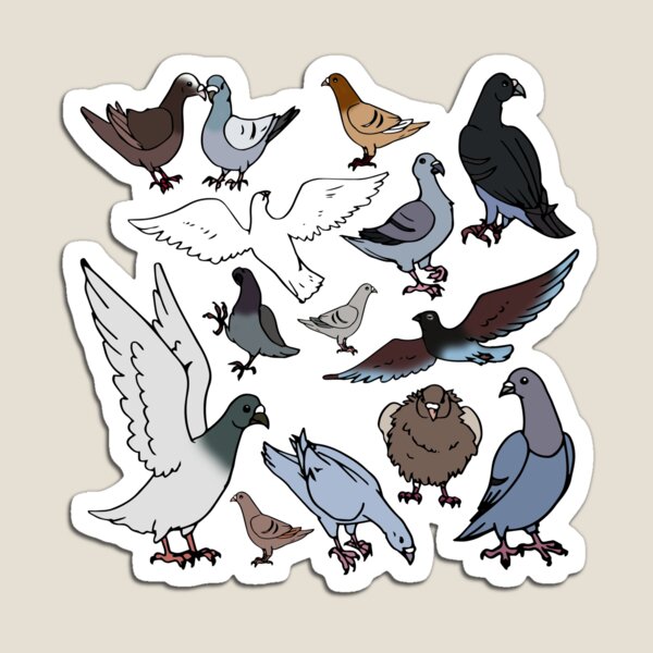 Fridge Magnet Pigeon Novelty Gift Fun Pigeon Gift I Just Really Love Pigeons 