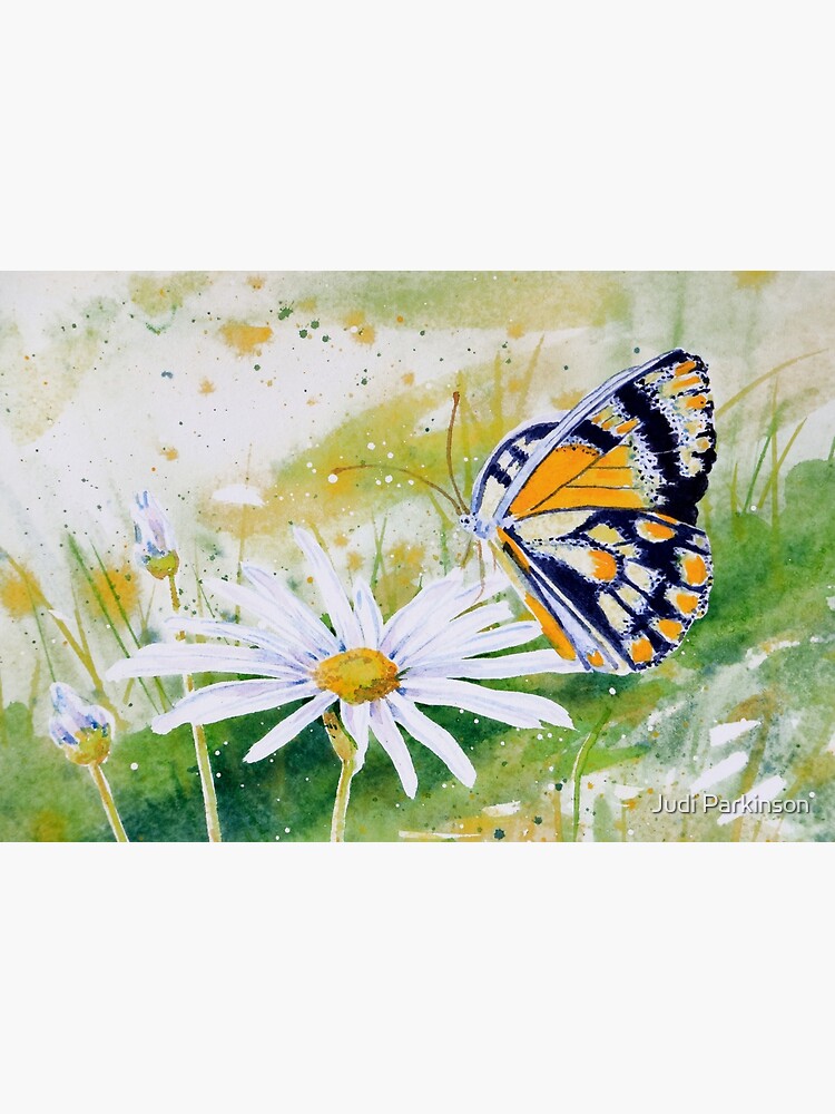 Butterfly Resting on a White Daisy by judip4