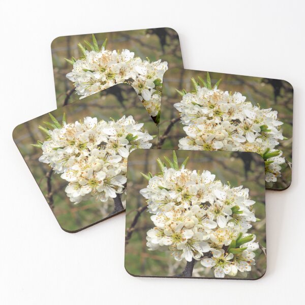 Artikelvorschau, Frühlingsblume entworfen und verkauft von KathleenDawson.