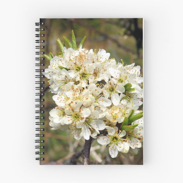 Artikelvorschau, Frühlingsblume entworfen und verkauft von KathleenDawson.