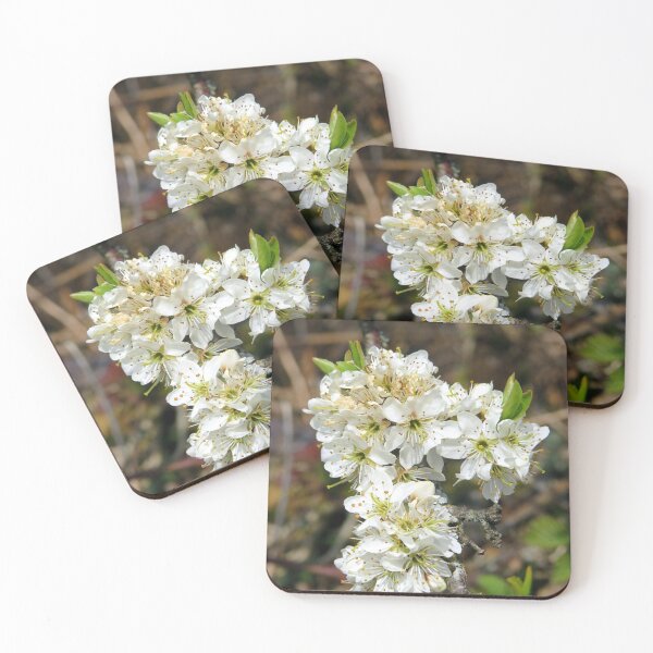 Artikelvorschau, Frühlingsblume entworfen und verkauft von KathleenDawson.