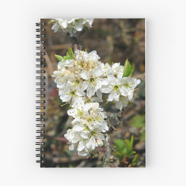 Artikelvorschau, Frühlingsblume entworfen und verkauft von KathleenDawson.