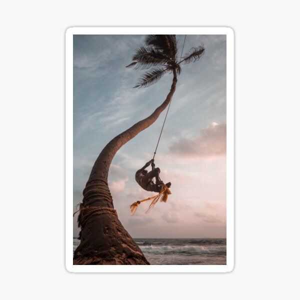 BEACH OCEAN TREE Sticker