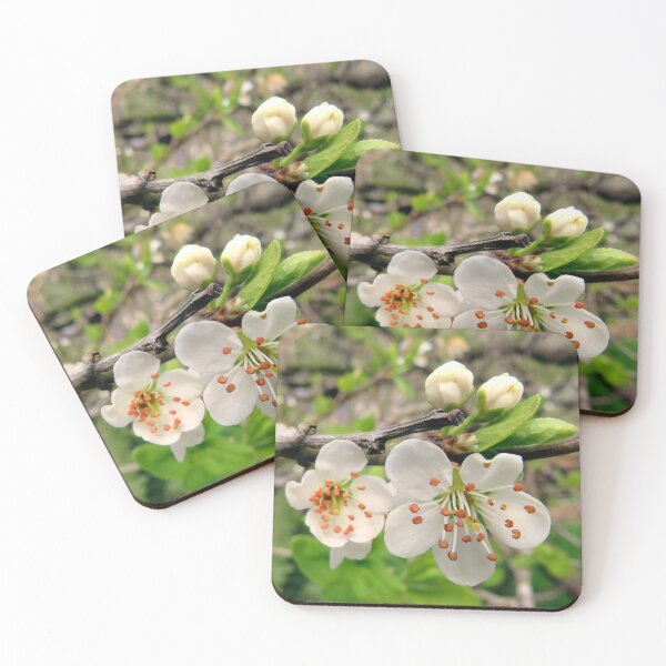 Artikelvorschau, Frühlingsblume entworfen und verkauft von KathleenDawson.
