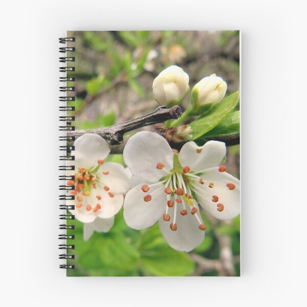 Item preview, spring flower designed and sold by KathleenDawson.