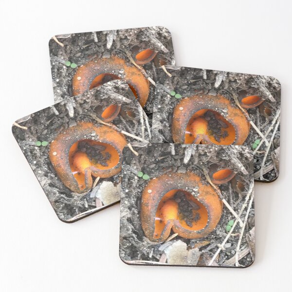 Item preview, Nature designed and sold by nydiavillarreal.