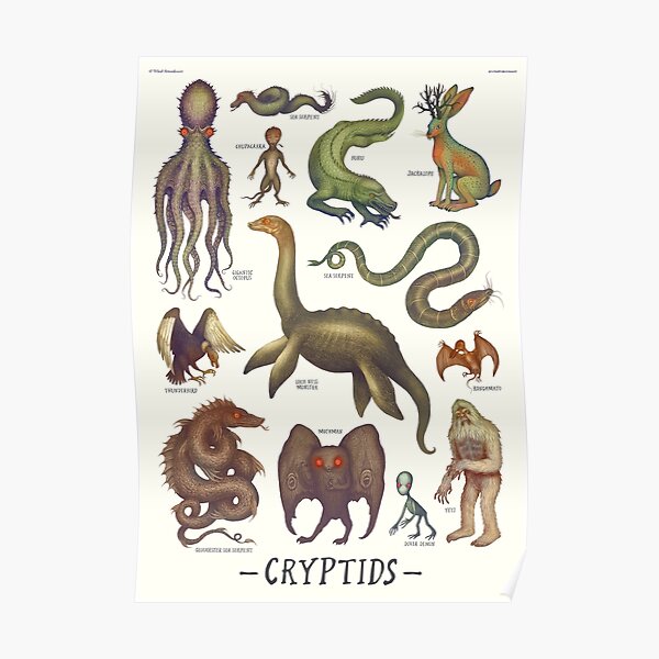 Cryptids, Cryptozoology species Poster