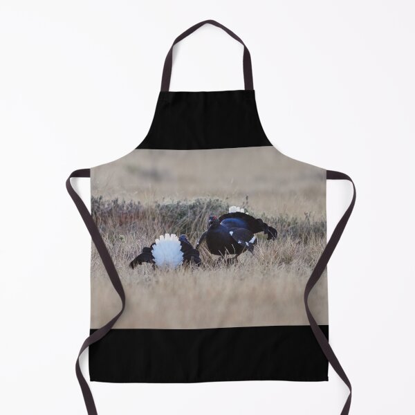 Item preview, Black grouse test scheme at fall designed and sold by Jouko Lehto Photography.