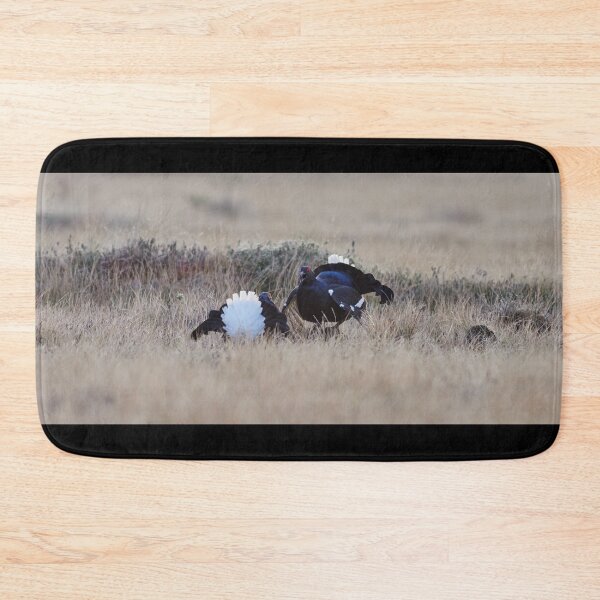 Item preview, Black grouse test scheme at fall designed and sold by Jouko Lehto Photography.