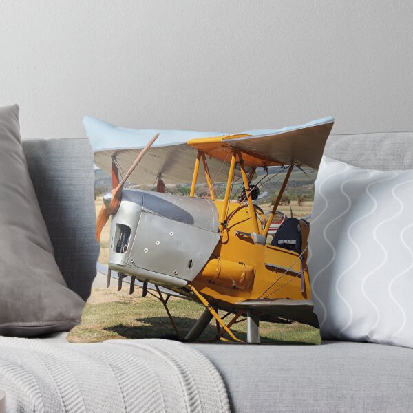 Item preview, Tiger Moth biplane aircraft designed and sold by FranWest.